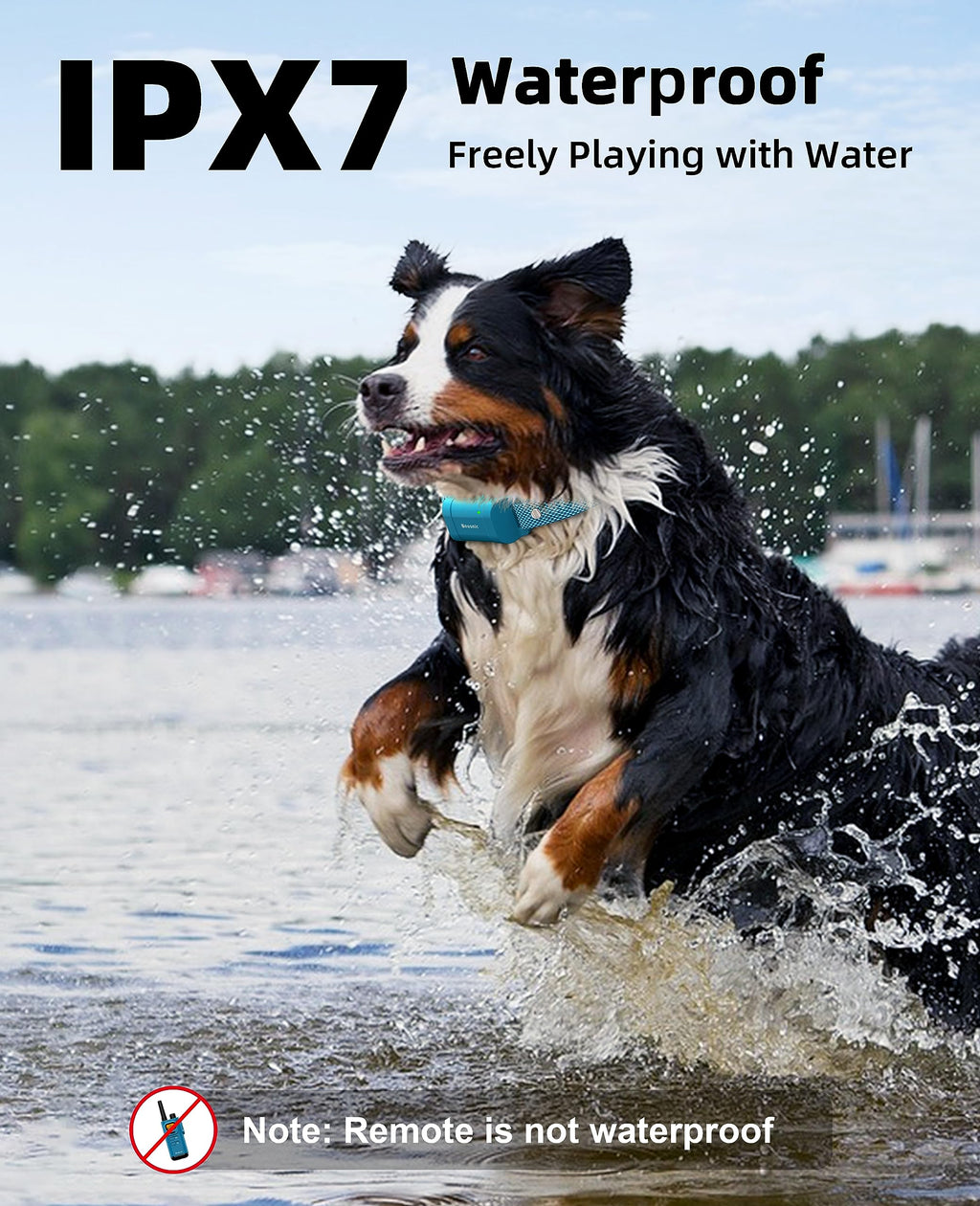 Waterproof Dog Training Collar with Remote E2546
