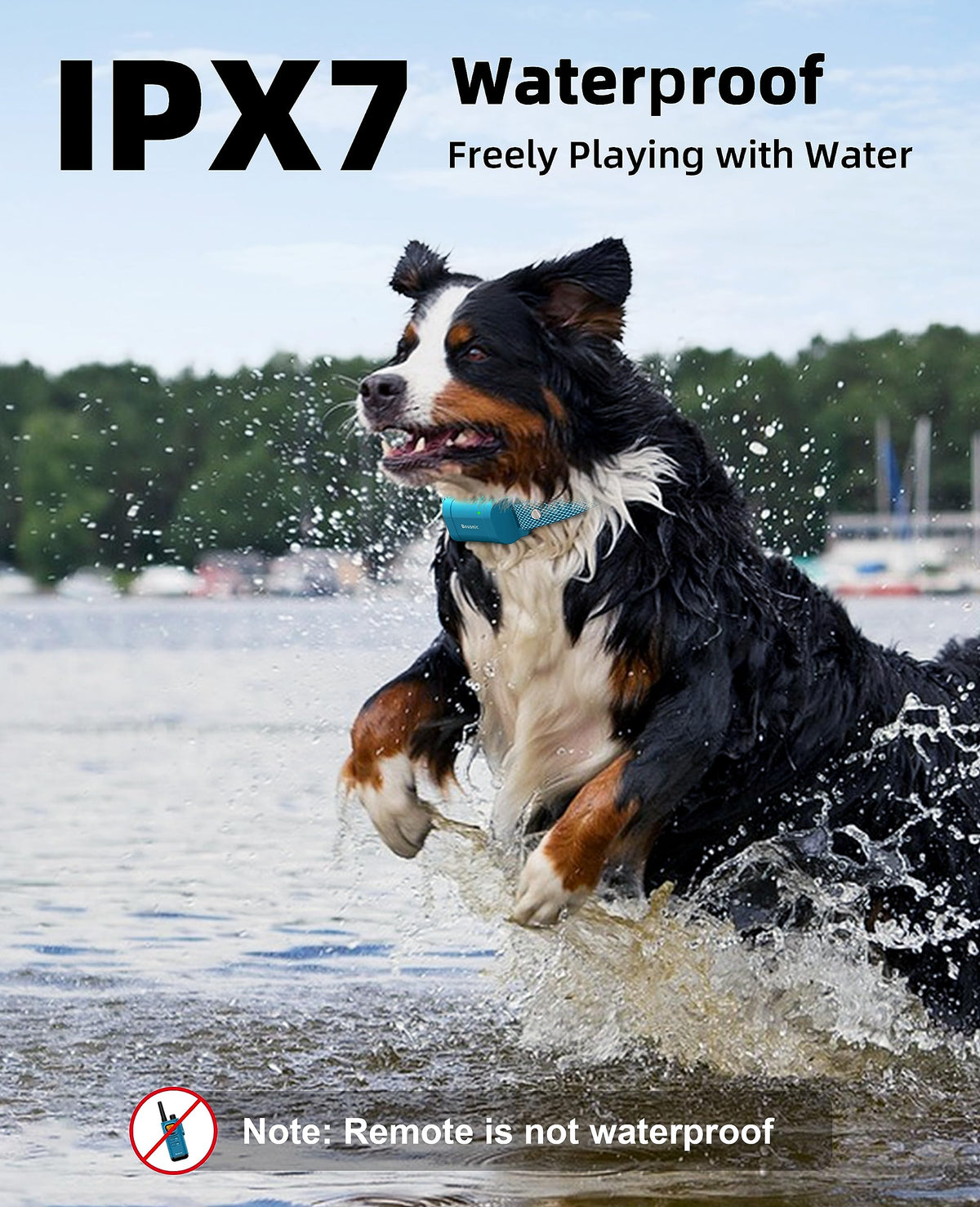 Waterproof Dog Training Collar with Remote E2546
