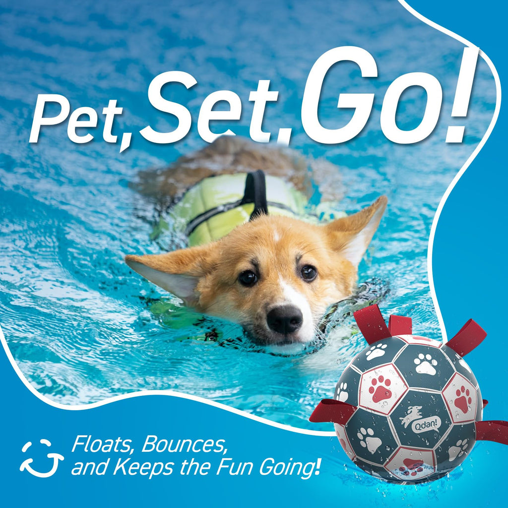 6 Inch Dog Soccer Ball with Straps F973950