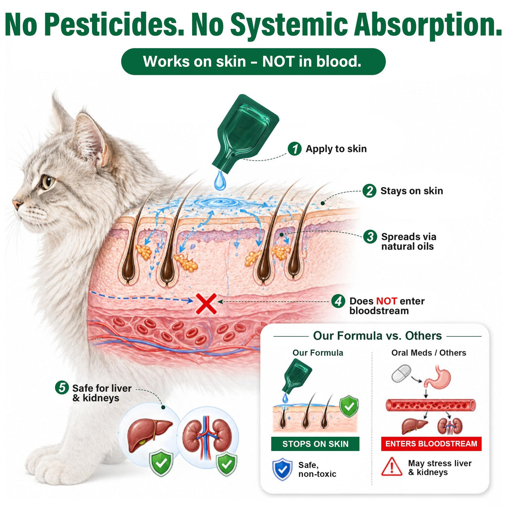 Cat Flea & Tick Topical Drops 12 Doses C8287