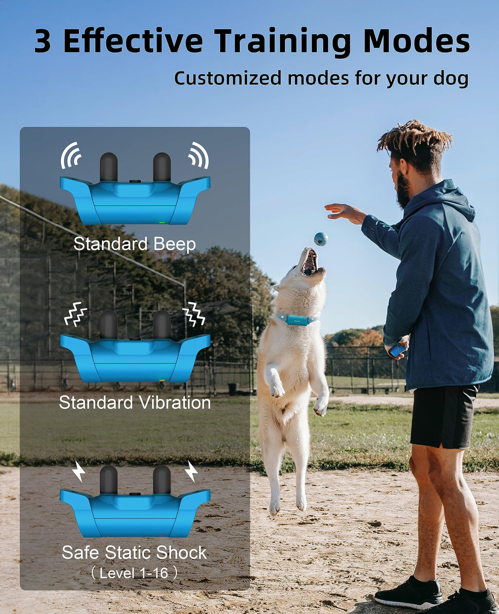 Waterproof Dog Training Collar with Remote E2546