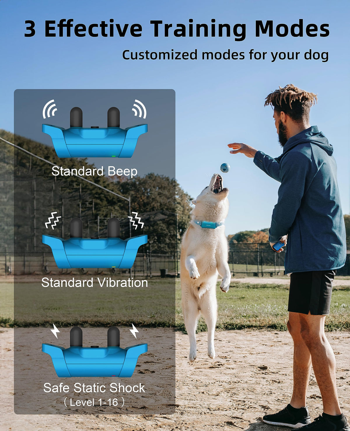 Waterproof Dog Training Collar with Remote E2546