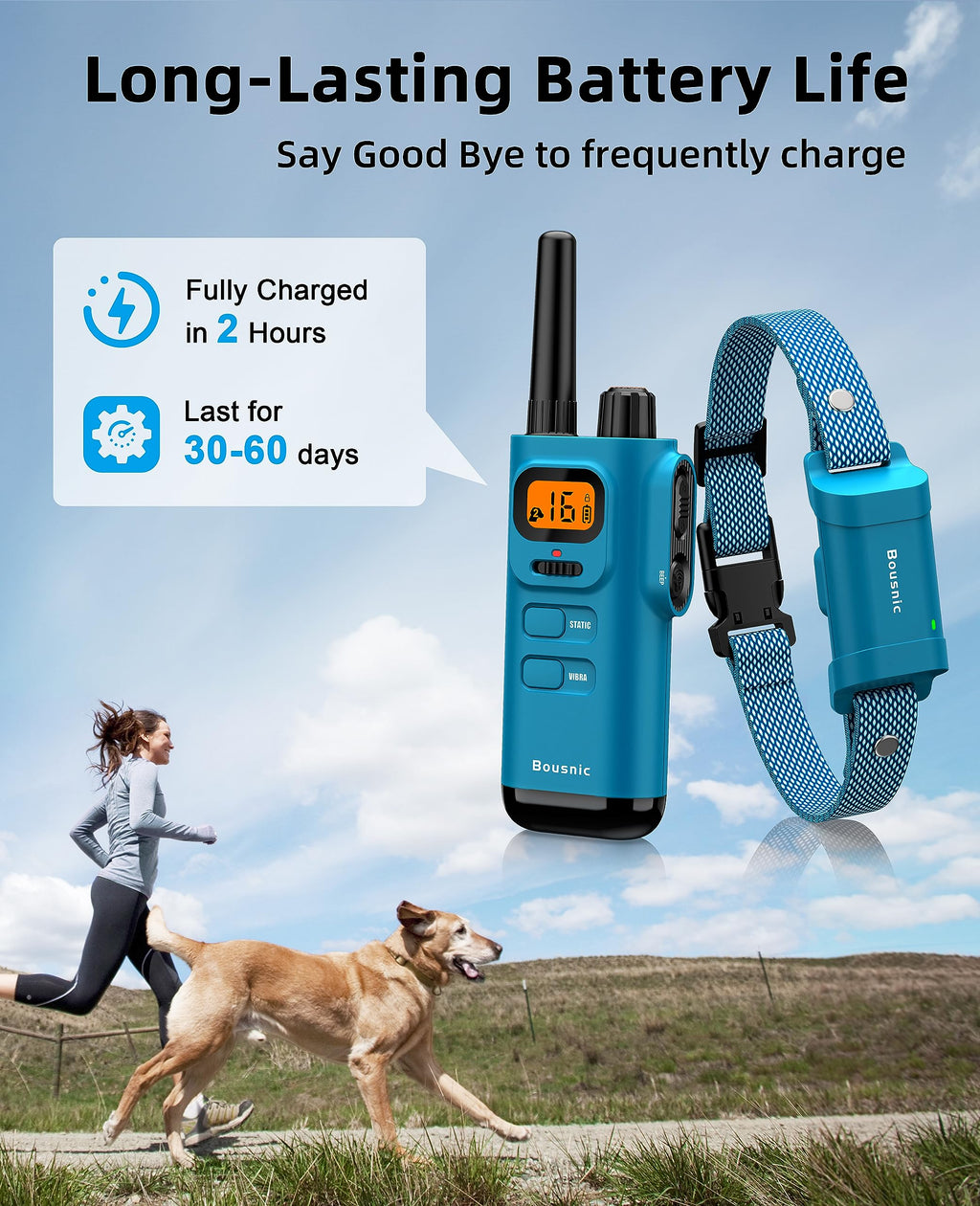 Waterproof Dog Training Collar with Remote E2546